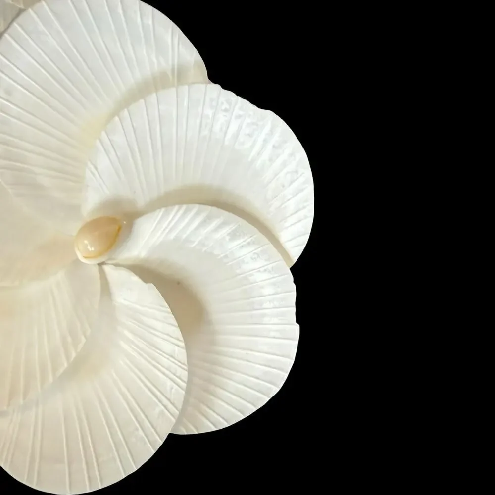 Vintage‎ Seashell Wind Chime Chandelier Hanging Mobile Boho Coastal Décor Read